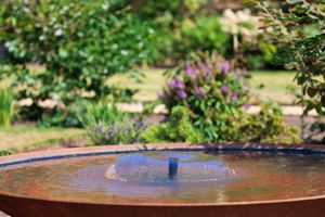 Photo 1- click for photo gallery